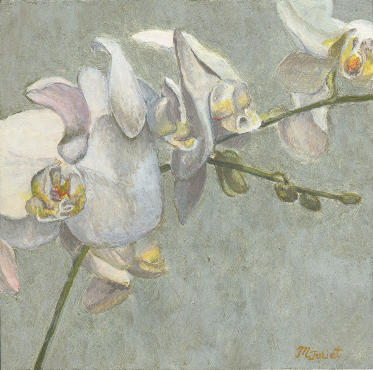 Orchid in Tempera