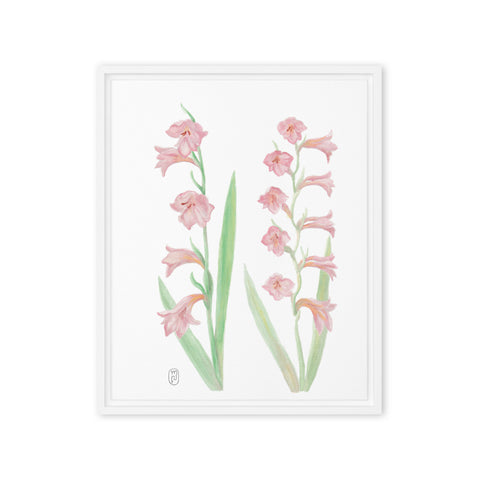 Gladiolus Watercolor Framed 16
