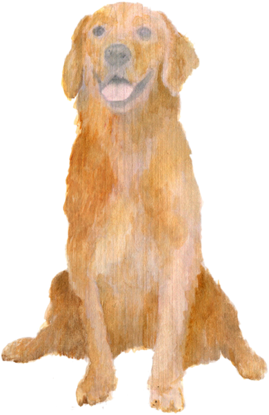 Golden Retriever Dog downloadable artwork