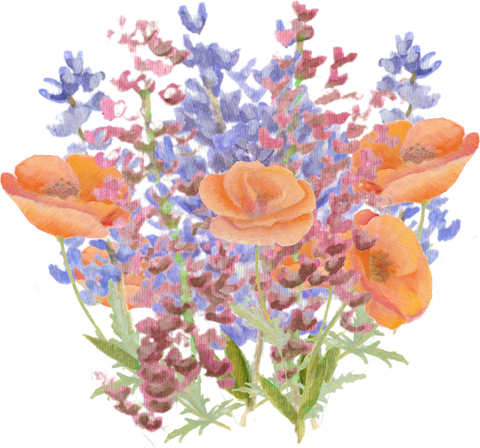 Lupine Wildflower downloadable artwork