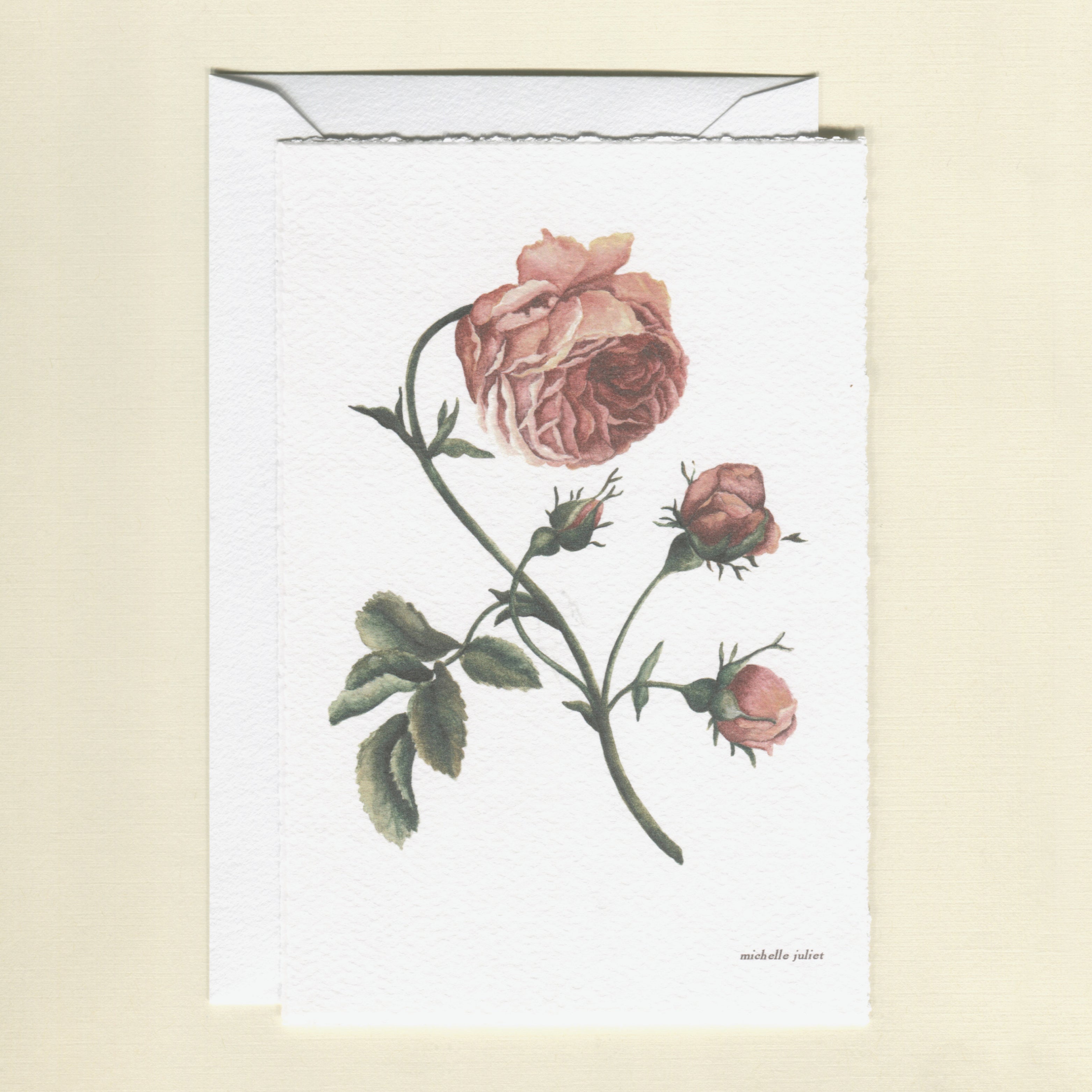 Rose Greeting Cards - Pack of 6
