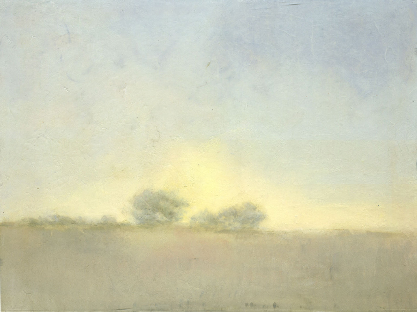 Misty Oaks