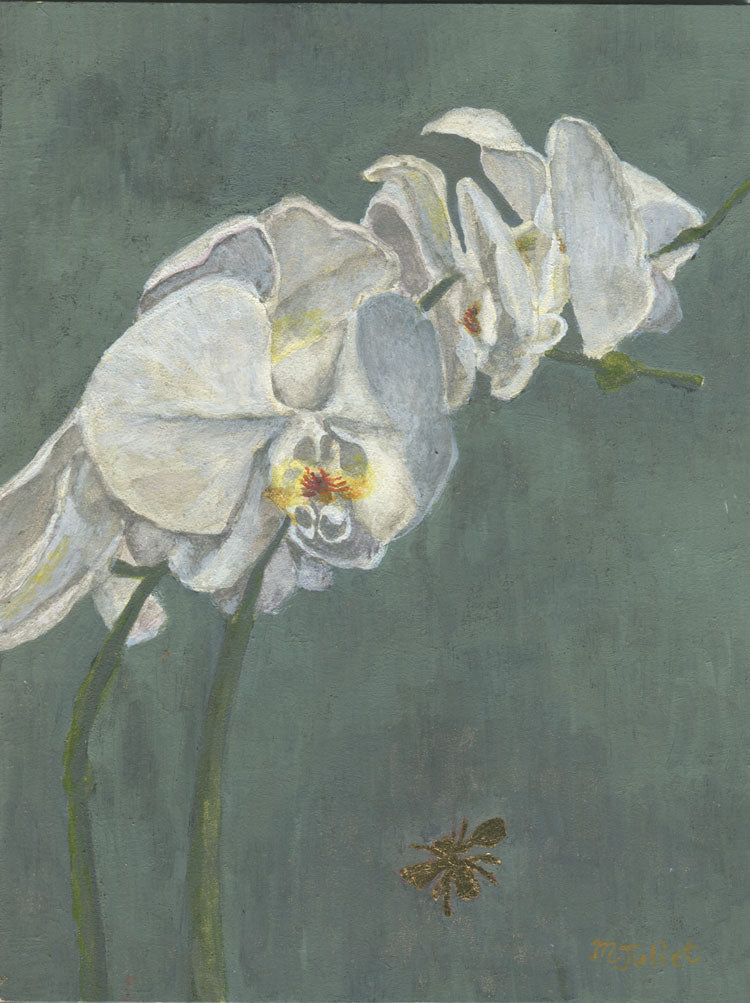 Orchid with Bee