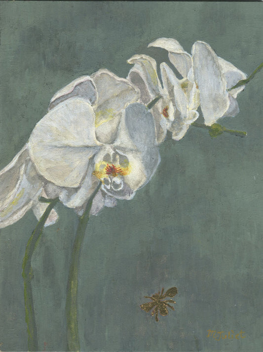 Orchid with Bee