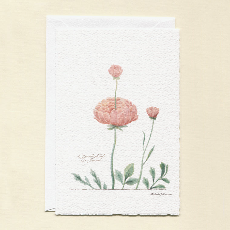 Ranunculus Greeting Cards - Pack of 6