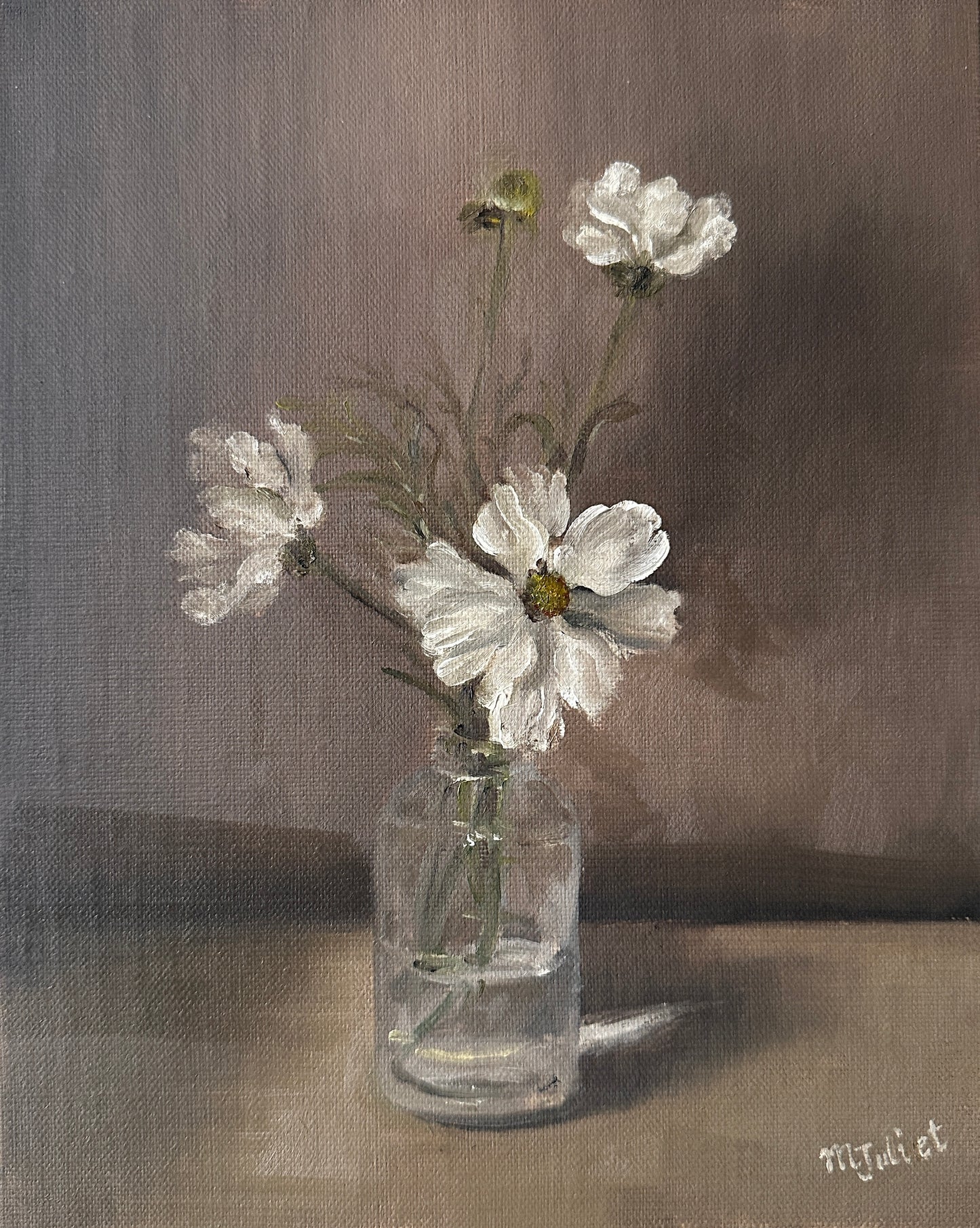 White Cosmos in Glass Vase