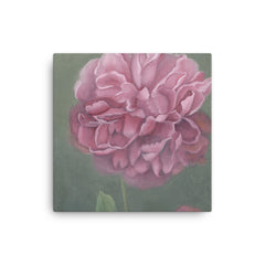 Peony in oil - quality digital print on canvas