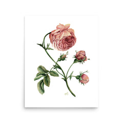 Dark Rustic Rose Art Print