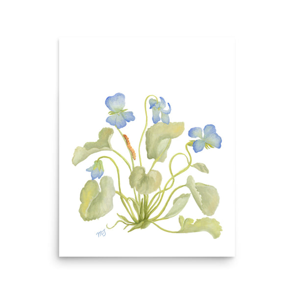 Cyclamen Art Print