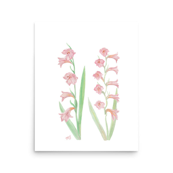 Gladiolus Art Print