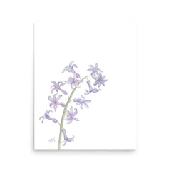 Hyacinthus Art Print