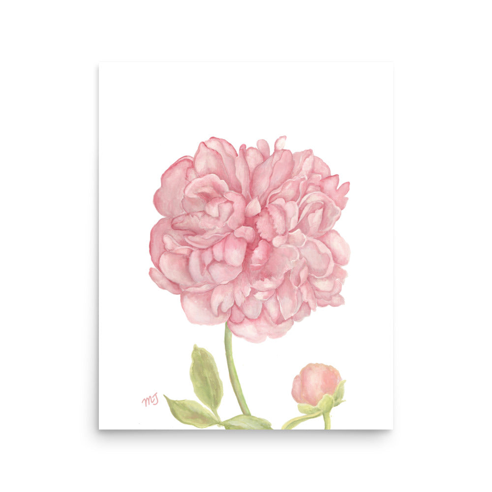 Peony Art Print
