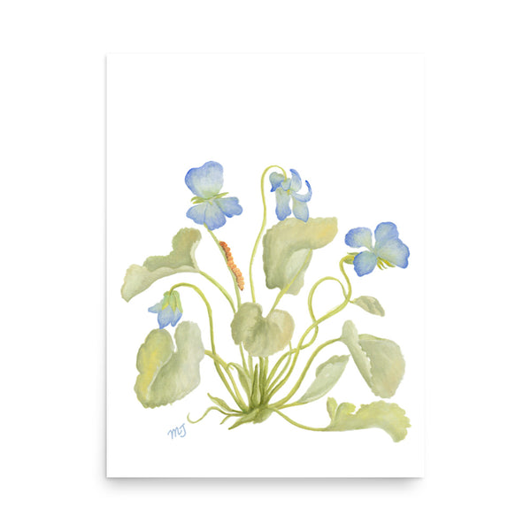 Cyclamen Art Print