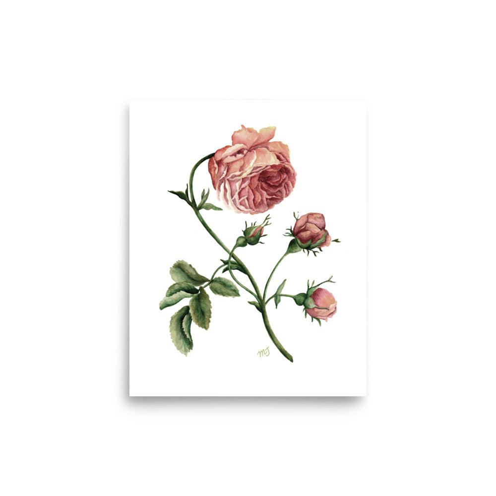 Dark Rustic Rose Art Print