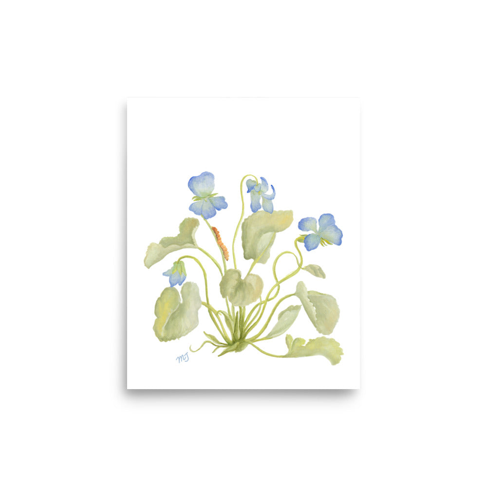 Cyclamen Art Print