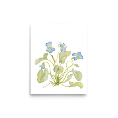 Cyclamen Art Print