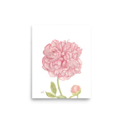 Peony Art Print