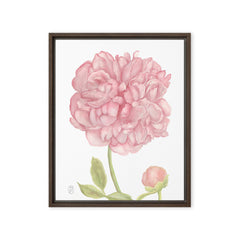 Peony Watercolor 16"x20" Framed Canvas