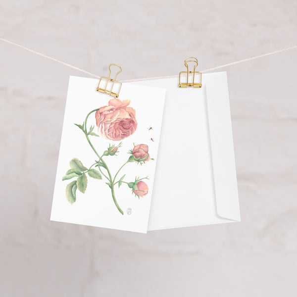 Rose Greeting card