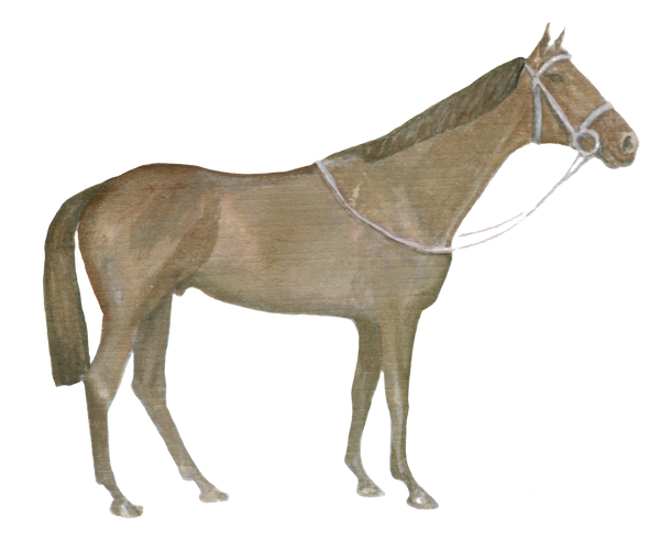 Horse Equestrian downloadable artwork
