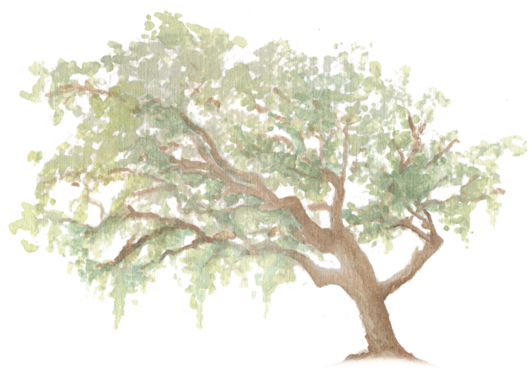 Oak Tree downloadable artwork