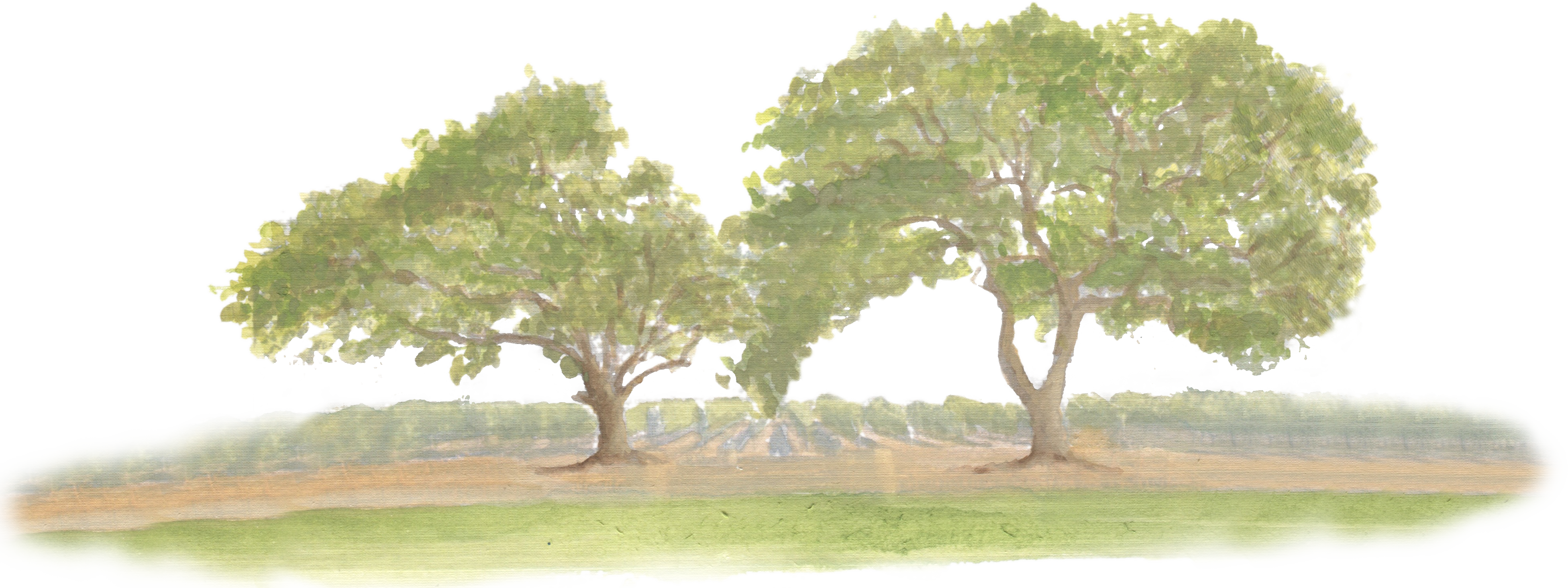 Oak Tree and Vineyard downloadable artwork