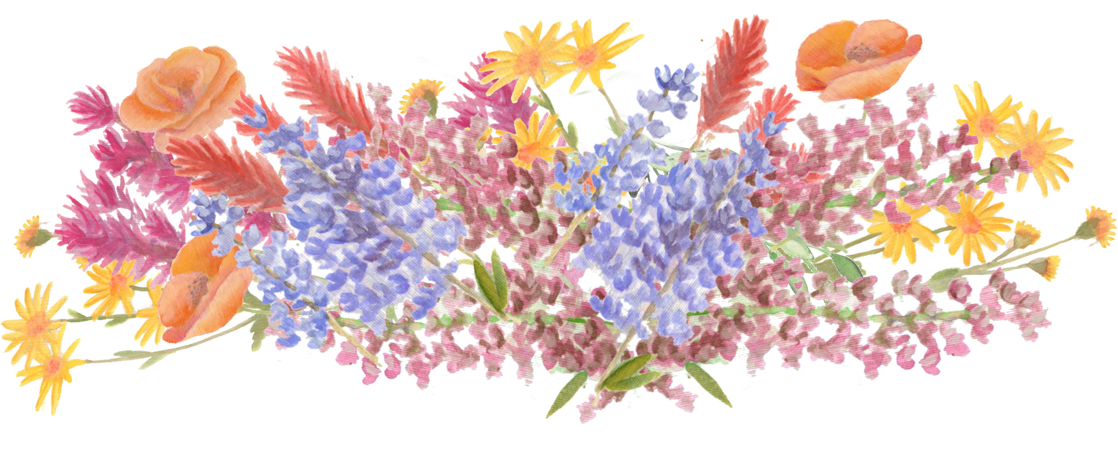 Wildflower Bunch 1 downloadable artwork