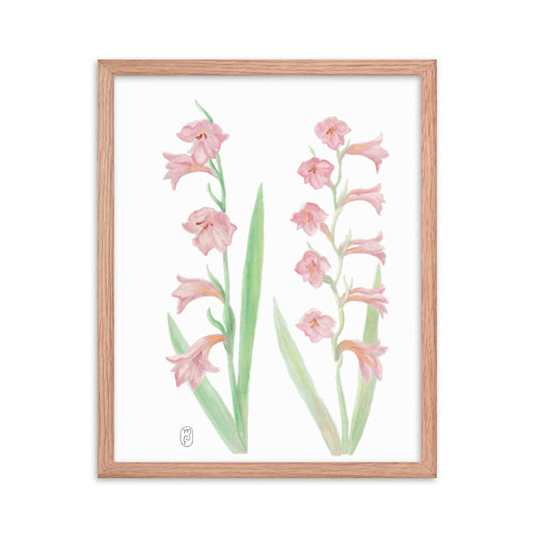 Gladiolus Watercolor in Frame